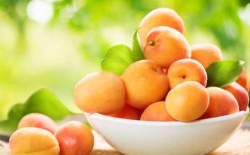 apricots.jpg